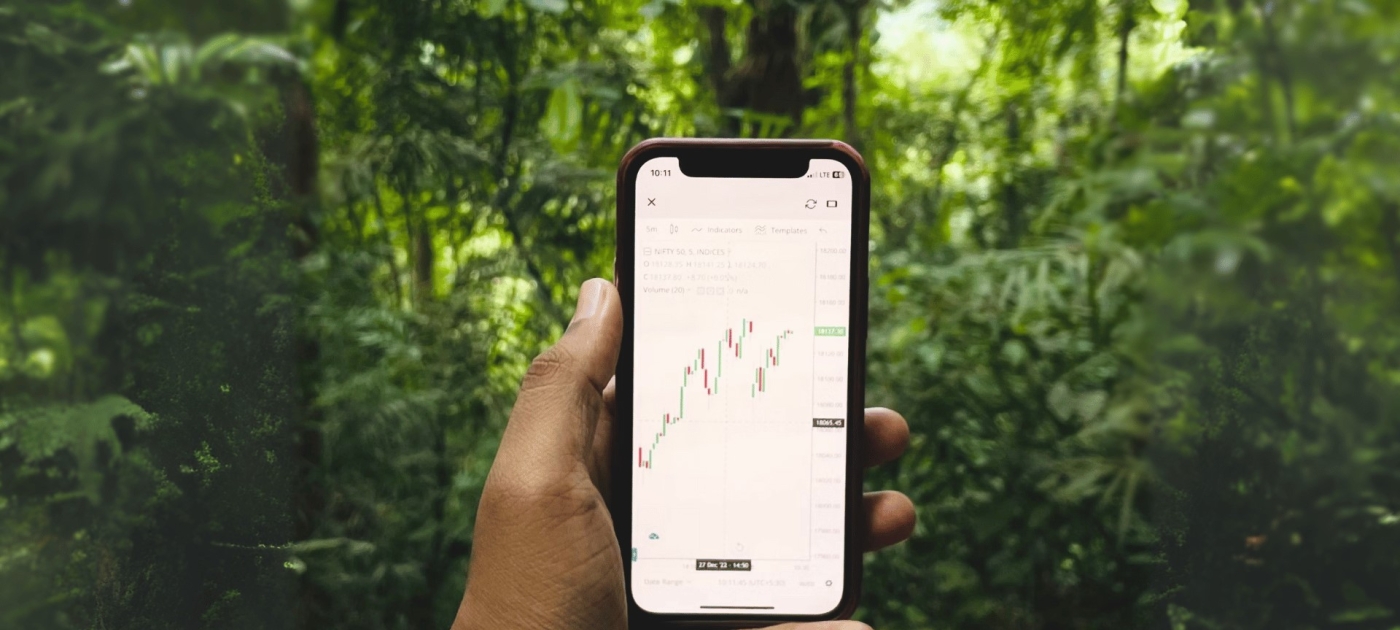 Phone held up in a forest