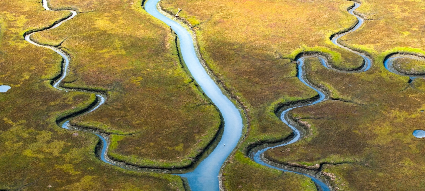 A river running through a lush green field