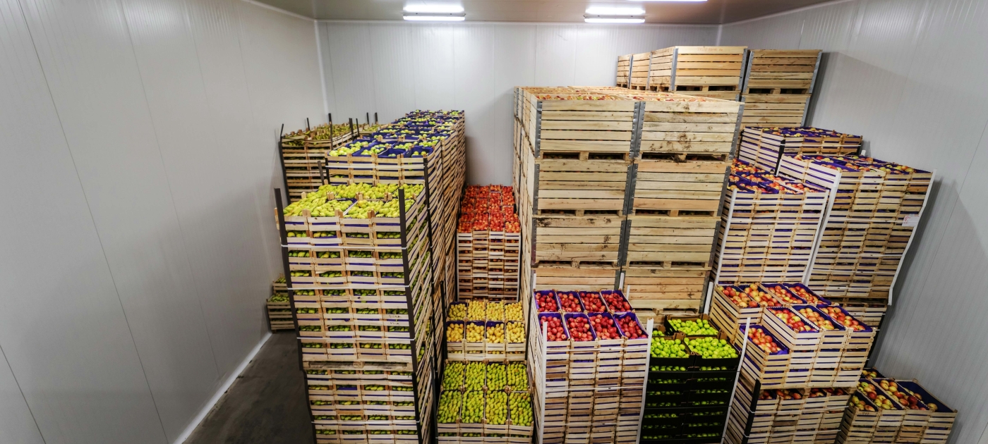 Fruit and Veg in cold storage