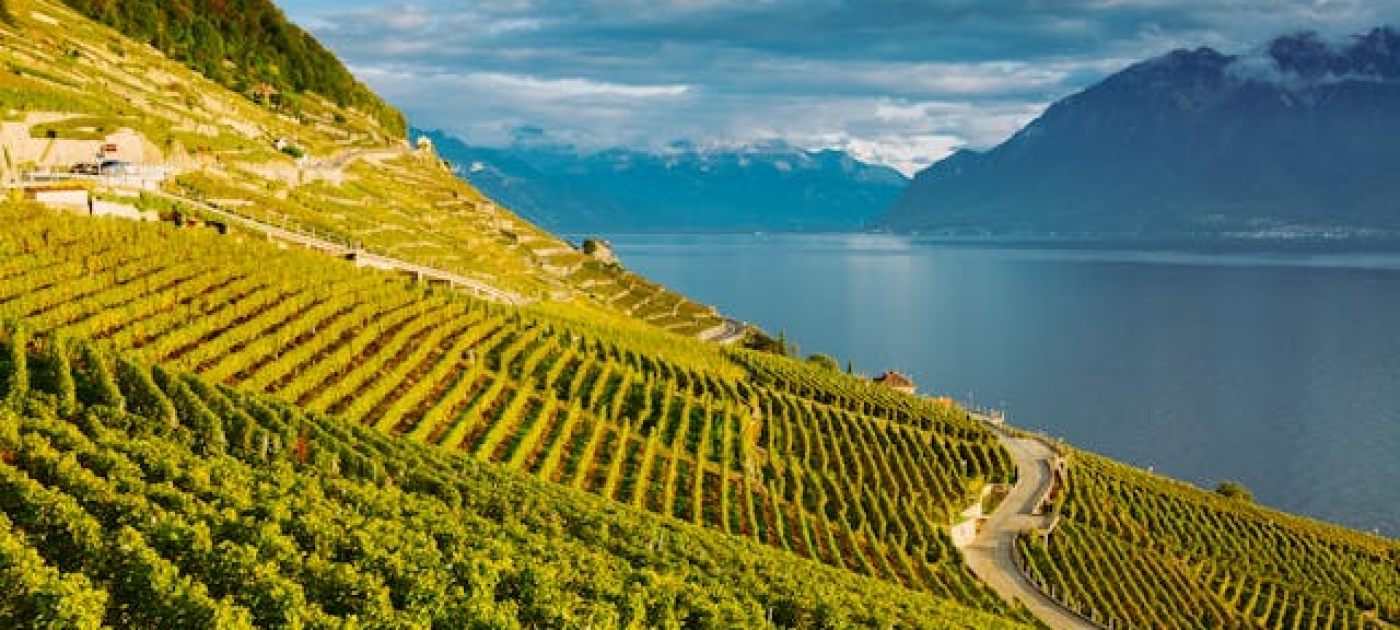 Photo of Lavaux, Switzerland: Lake Geneva and the Swiss Alps landscape seen from Lavaux vineyard tarraces in Canton of Vaud 