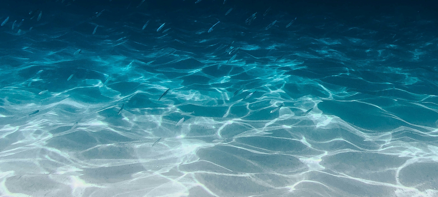 Photo by Silas Baisch on Unsplash