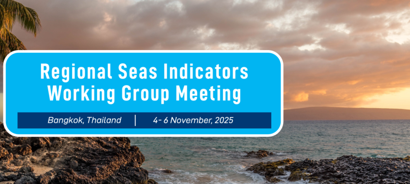 Regional Seas Programme