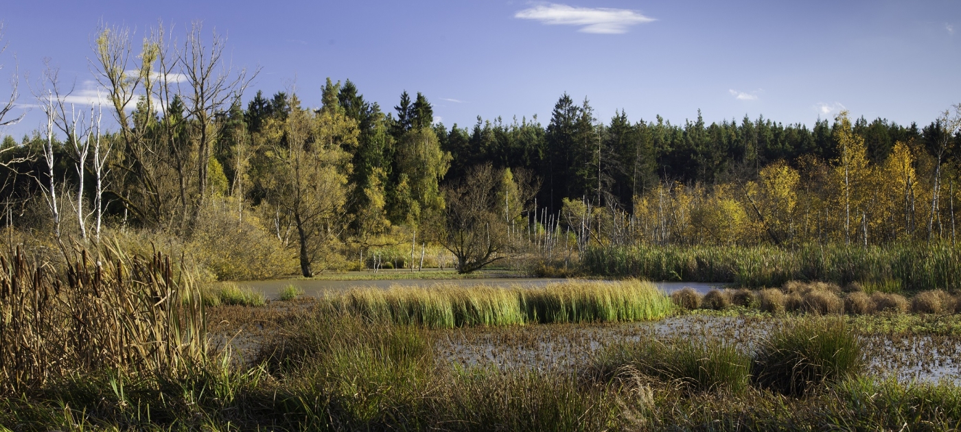 Nature for Climate