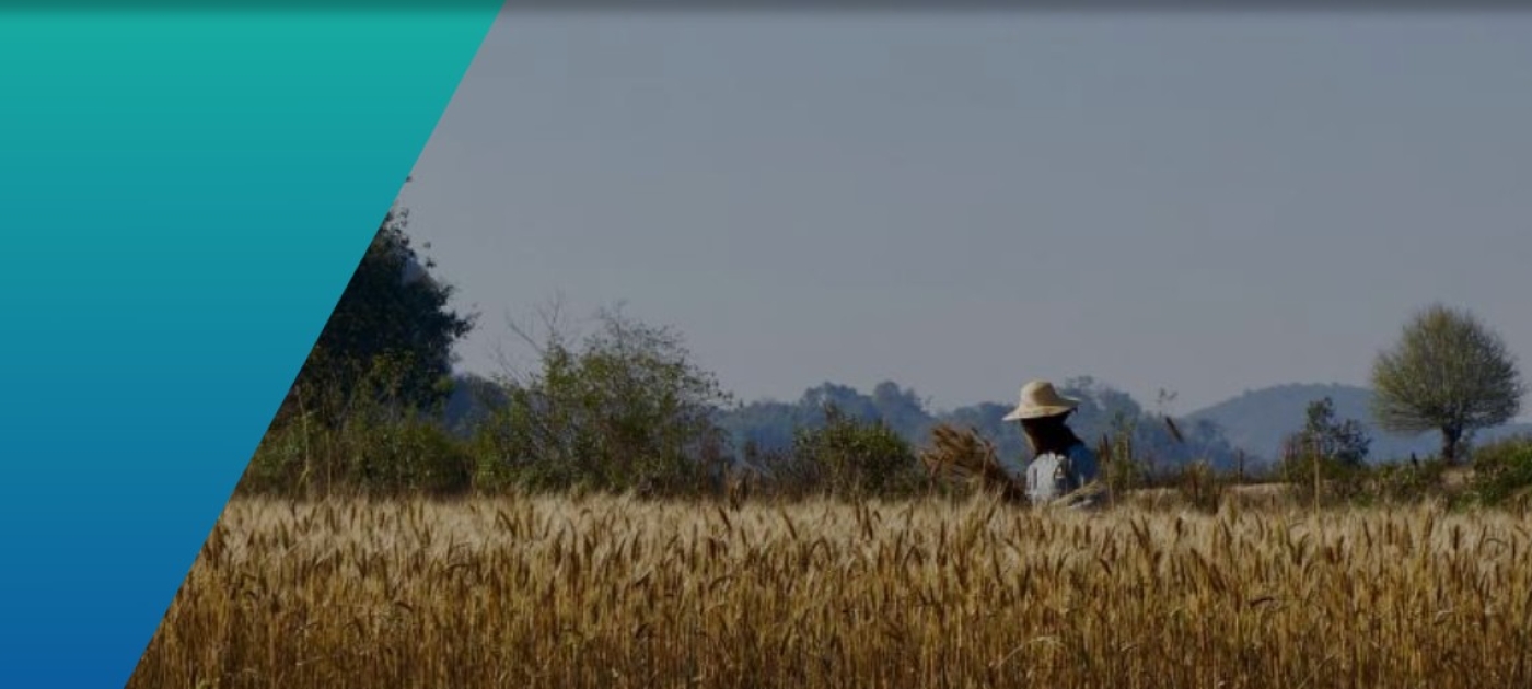 A field with one farmer