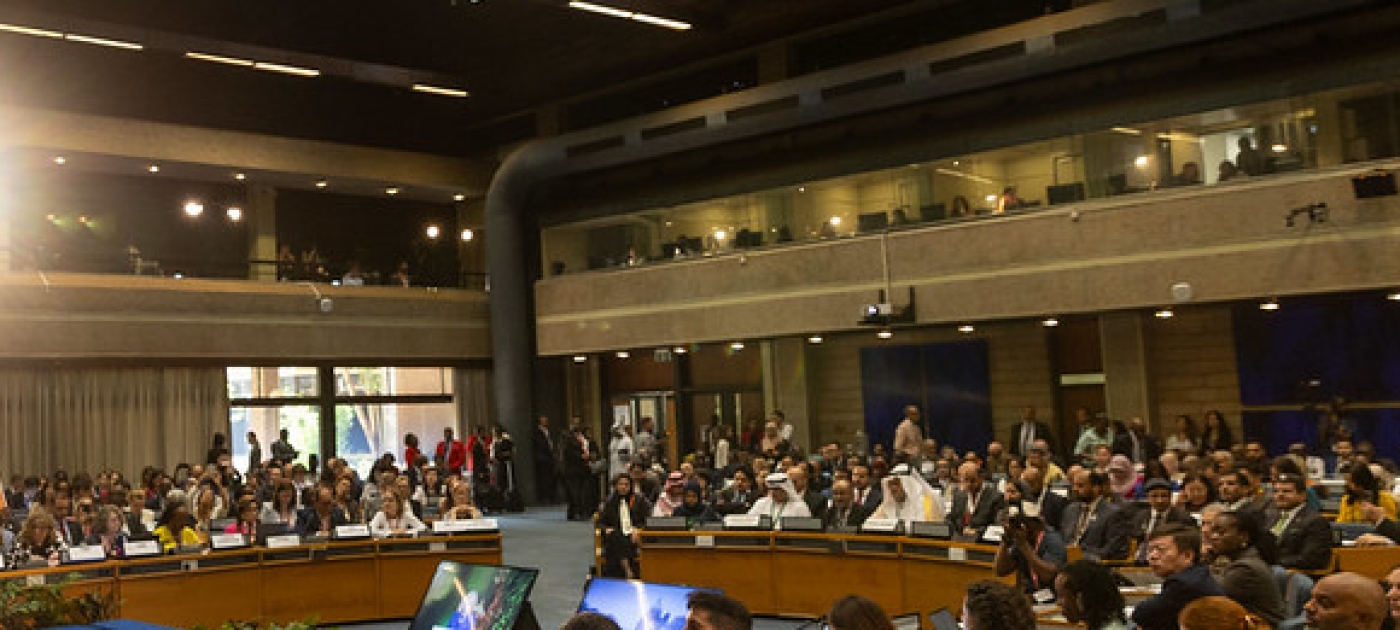 UNEP picture