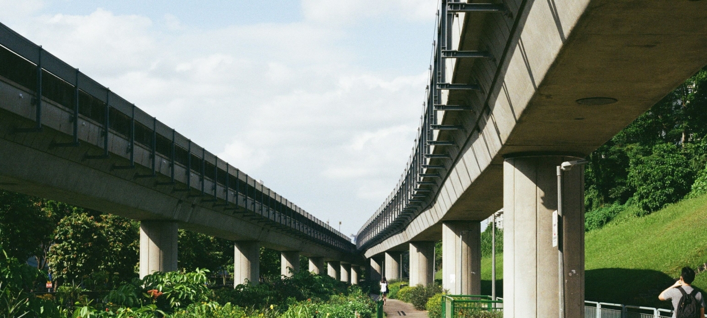 Photo of bridge and nature