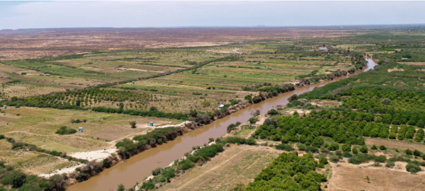 Aerial view of a piece of land