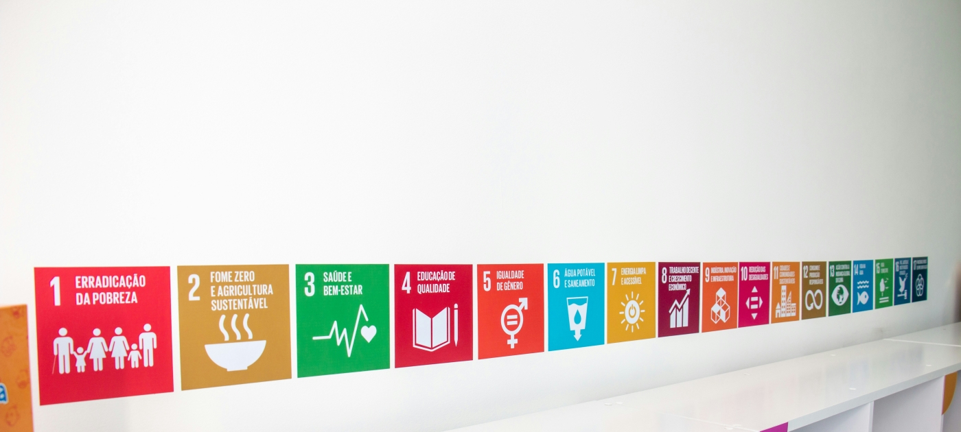 SDGs