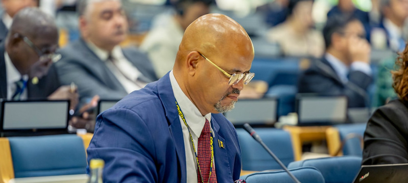 Attendee at the 173rd meeting of the Committee of Permanent Representatives.
