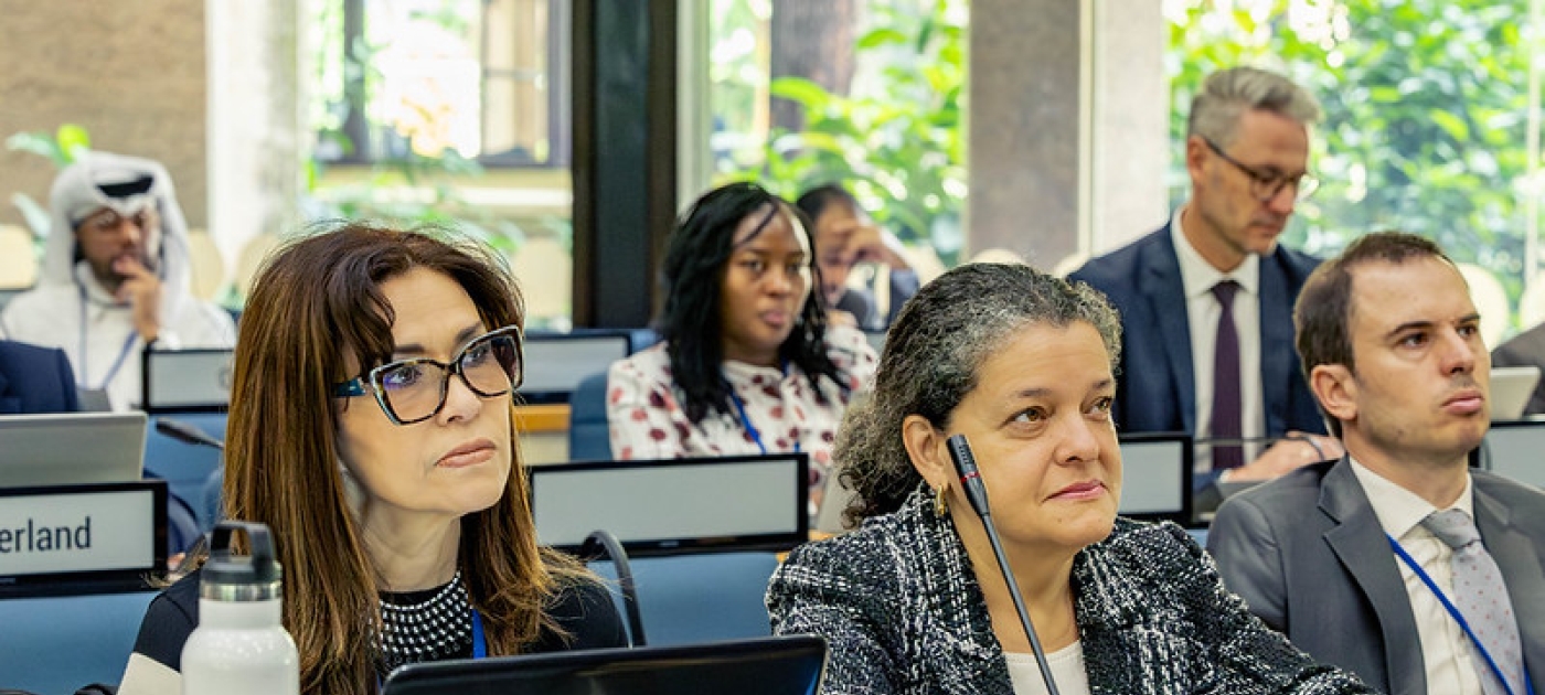 Delegates listening at the 173rd meeting of the Committee of Permanent Representatives.