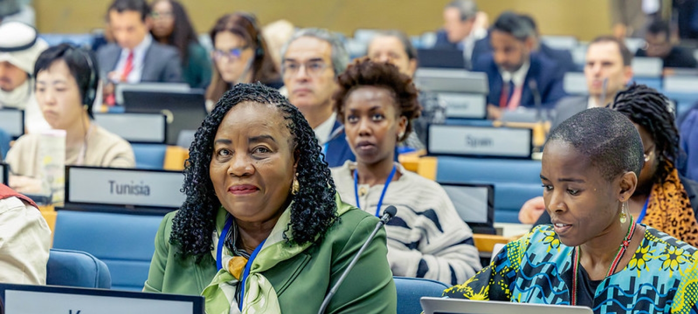 Delegates at the 173rd meeting of the Committee of Permanent Representatives.