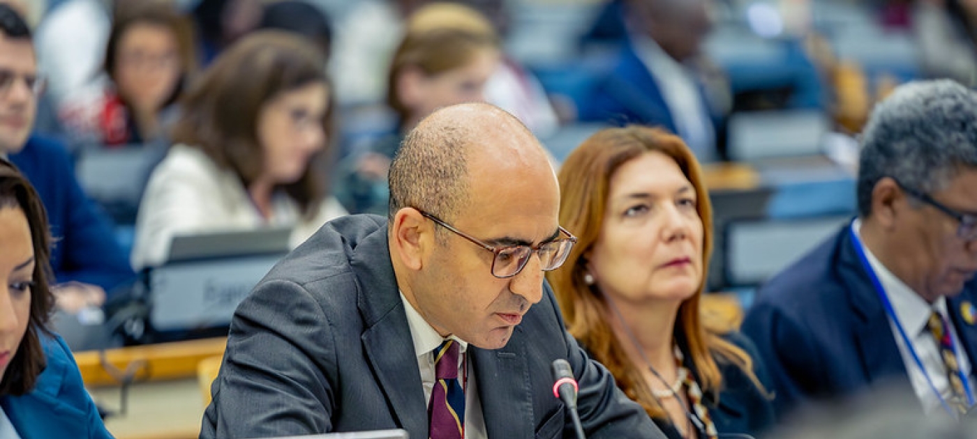 Delegates at the 173rd meeting of the Committee of Permanent Representatives.