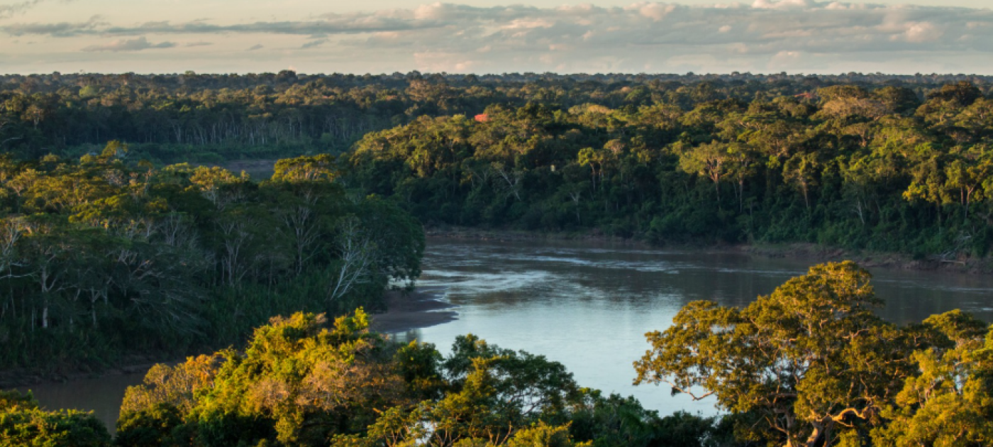 Peatlands in the Amazon, Peru. 
