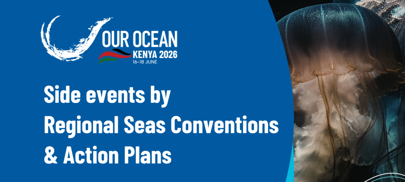 Regional Seas Programme