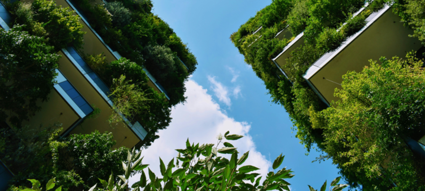 Green city
