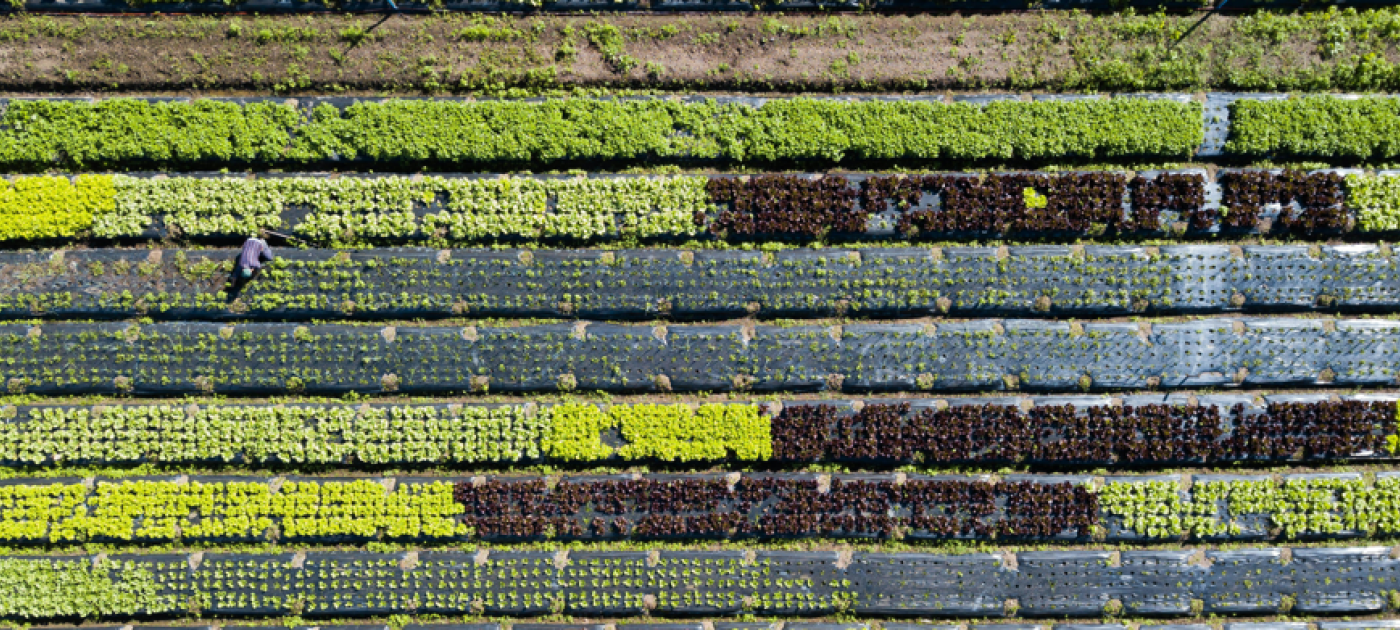 Food Systems