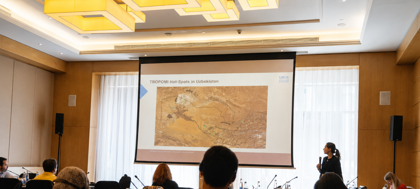 IMEO Workshop in Uzbekistan