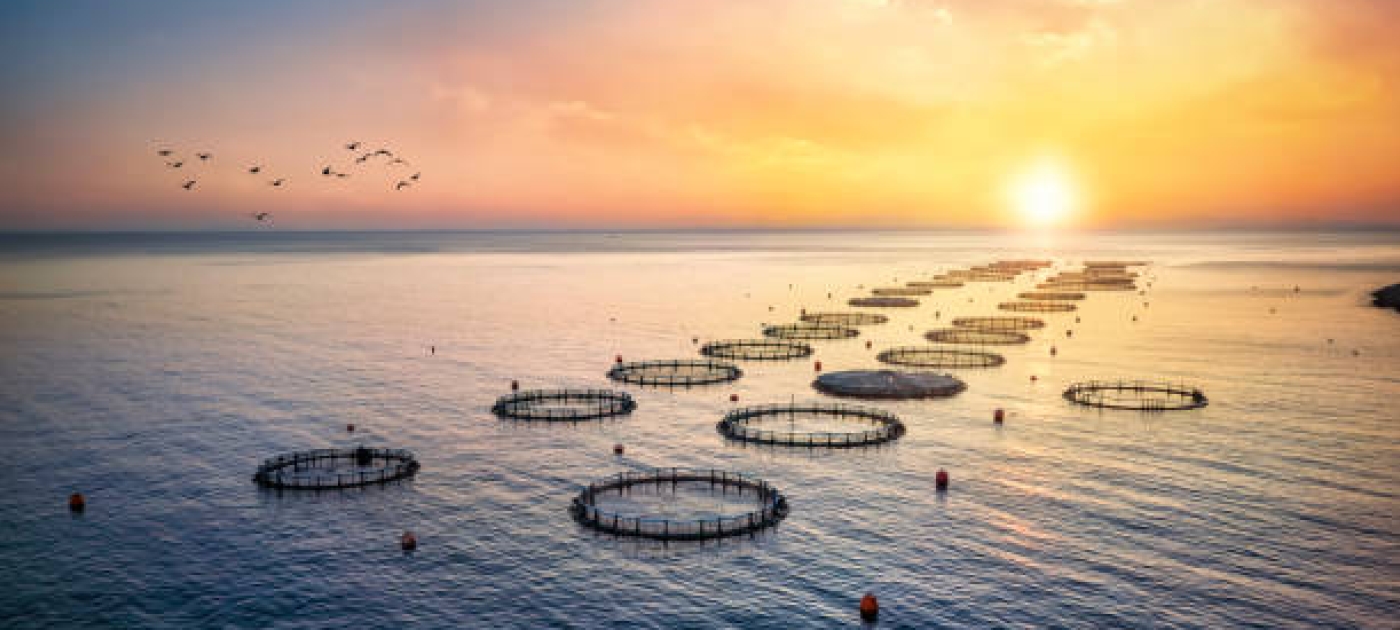 aquaculture