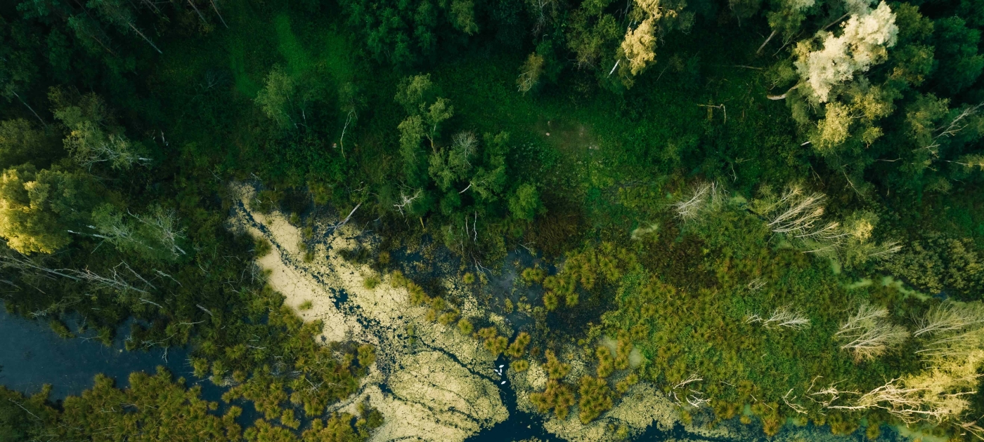 Birds eye view photo of water