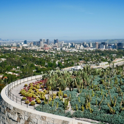 Green roof and city