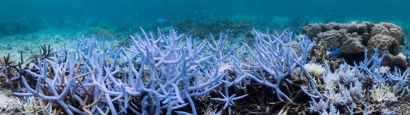 Datos sobre la emergencia climática UNEP