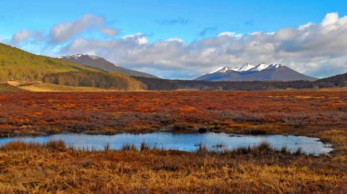 Chilean Peatlands