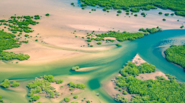 An aerial shot of a tropical river delta.