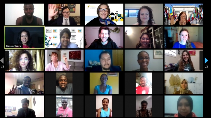 Screenshot of virtual meeting