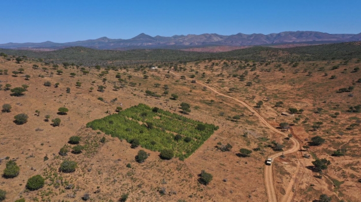 A drone photograph by Robbert Duker showing landscape restoration.