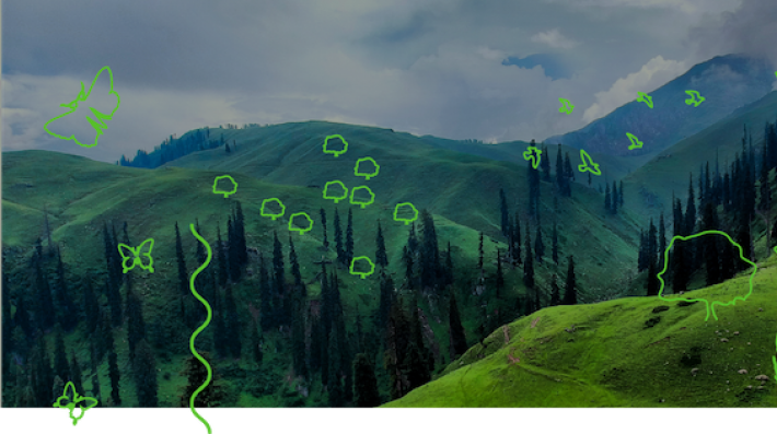 Pakistan landscape