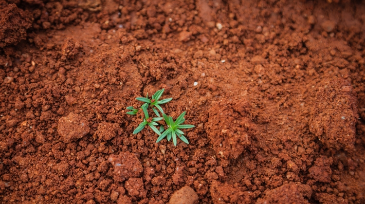 Soil pollution