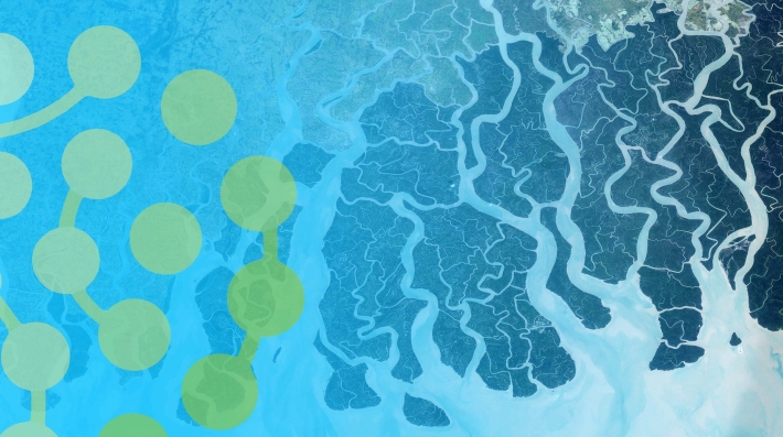 An illustration of water on the earth's surface