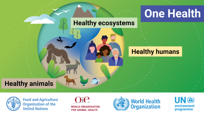 Poster on One Health statement