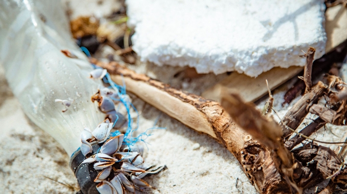 Marine litter