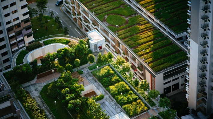 View of a green city 
