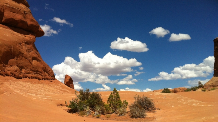 Arid land