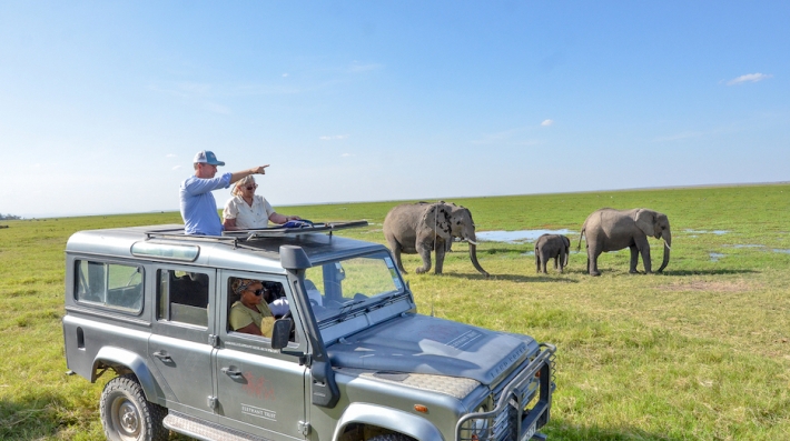 Edward Norton in Amboselli with elephants
