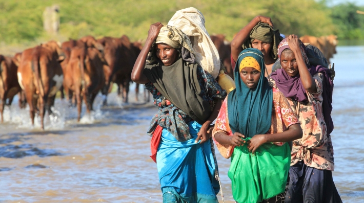 People walking trhough a water