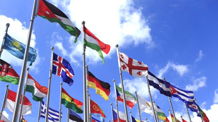 UN flags