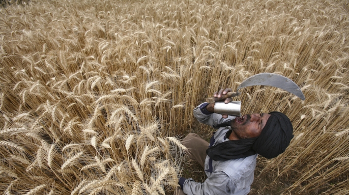 A farmer with a sickle