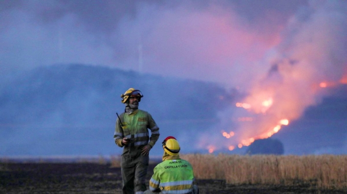 Wildfires