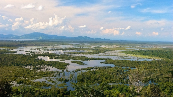 View of Danau Sentarum from Vega hill, Kapuas Hulu Regency, West Kalimantan, Indonesia.