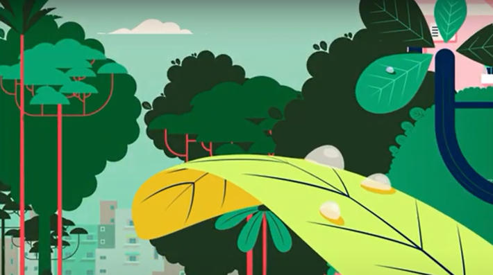 What is ecosystem-based adaptation?
