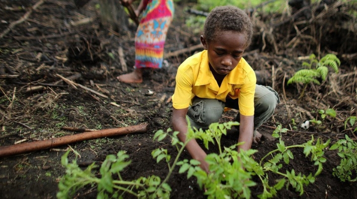 Boy planting tree