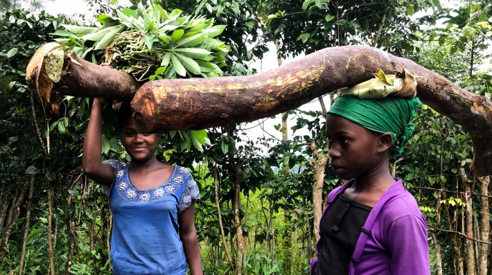Women at work in the Comoros