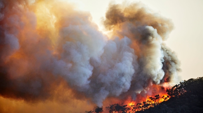 Bushfire with flames on mountain ridge