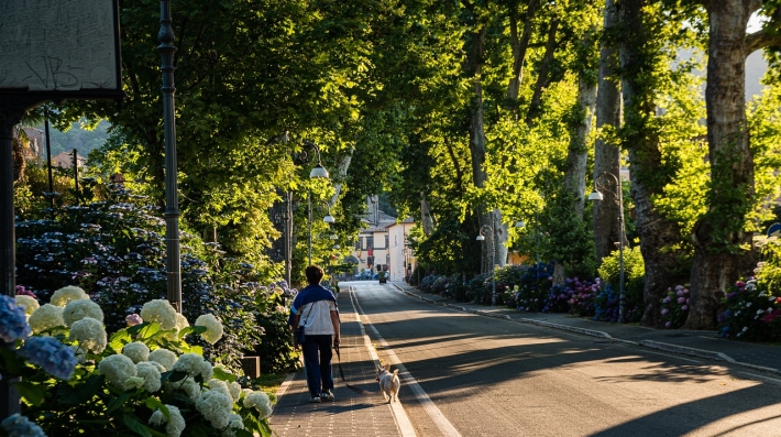 Street with trees