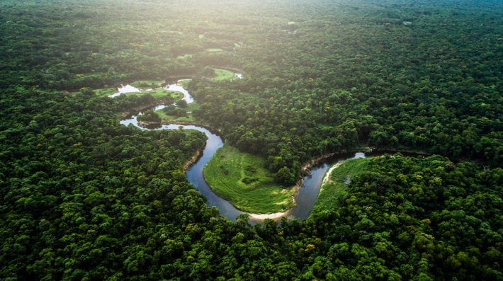 Uma vista aérea de uma floresta e de um rio.