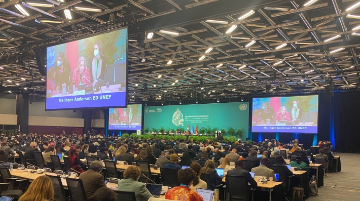 UNEP Chief Inger Andersen at COP15