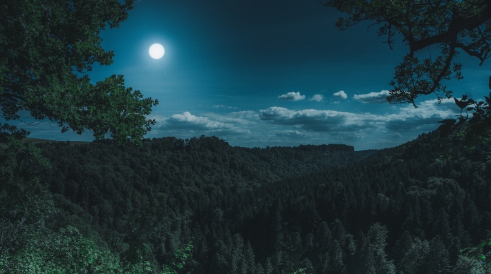 Nature